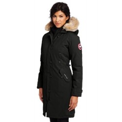 Canada Goose